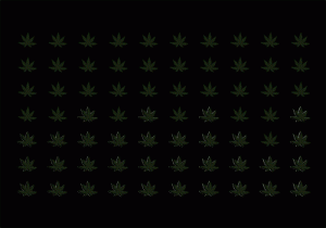 A071a Marijuana Leafs